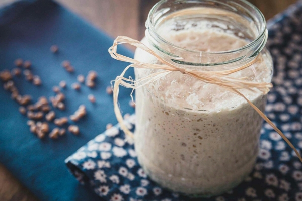 Gut Health / Gastrointestinal