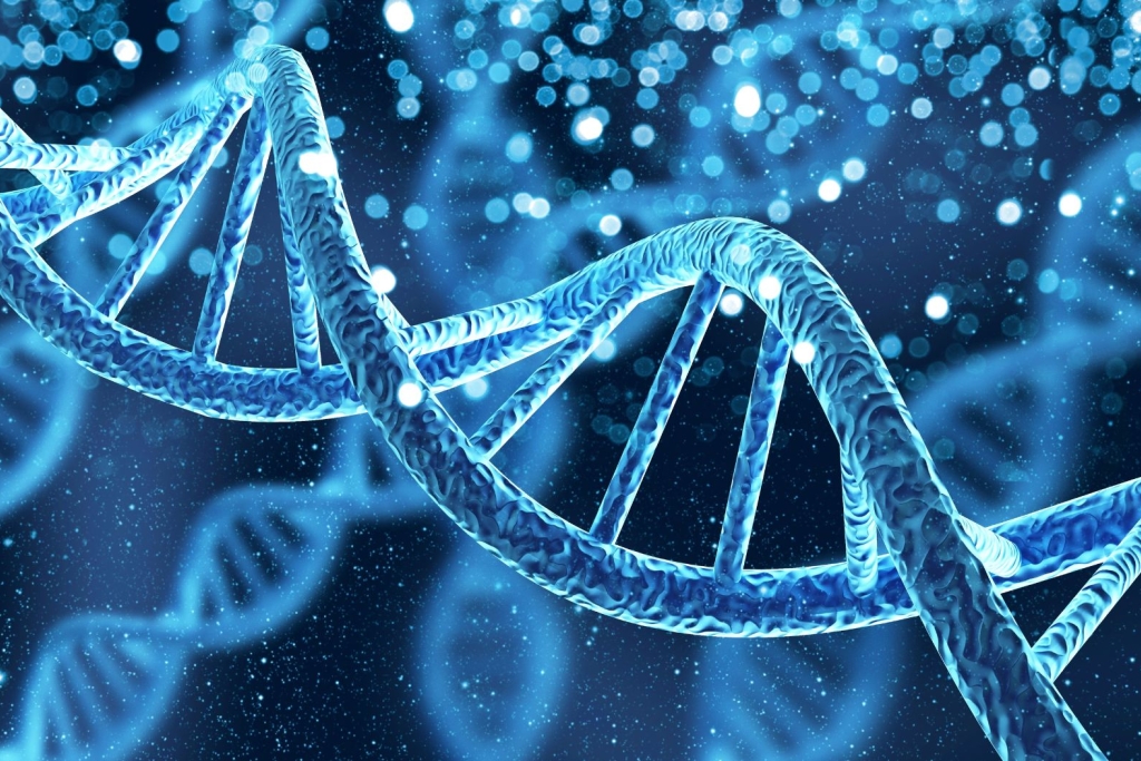 Autoimmune Diseases