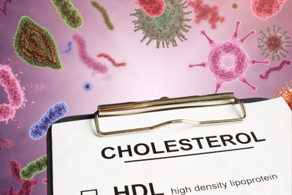 Metabolism / Obesity