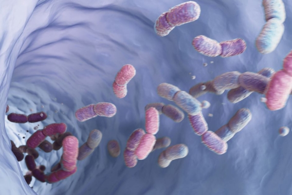 Intestinal Microbiome - EnteroScan®