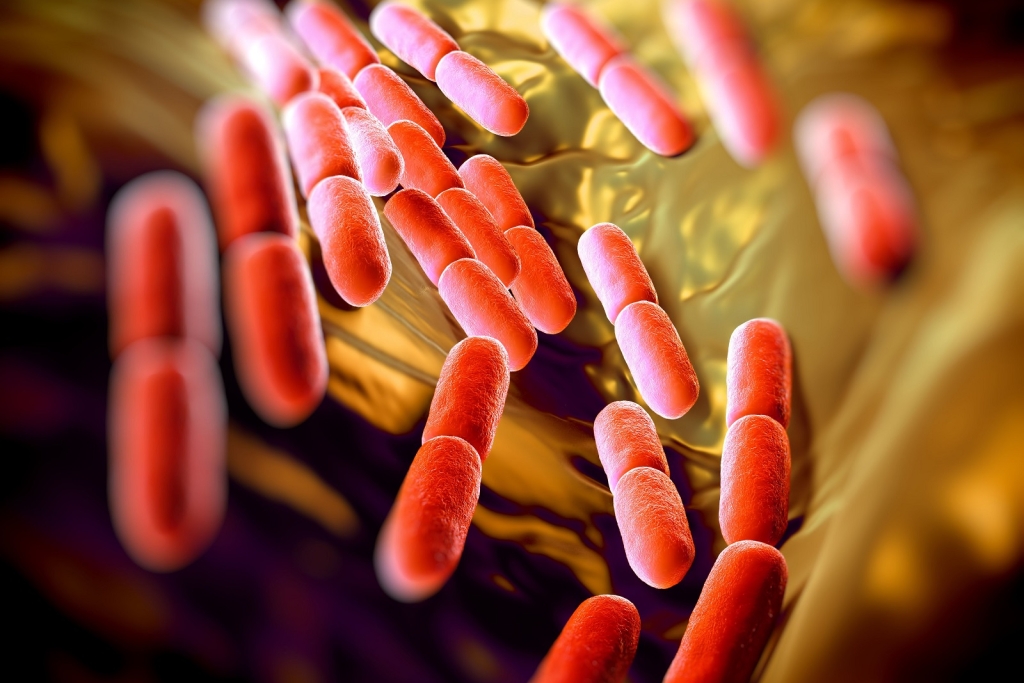 Intestinal Microbiome - EnteroScan®