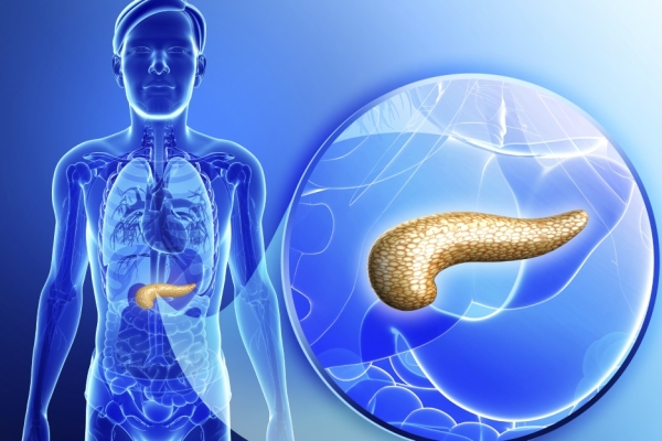 Intestinal Microbiome - EnteroScan®