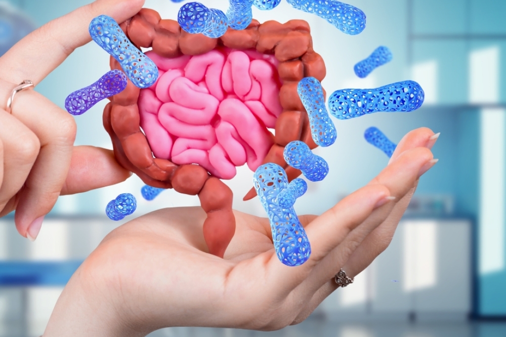 Gut Health / Gastrointestinal