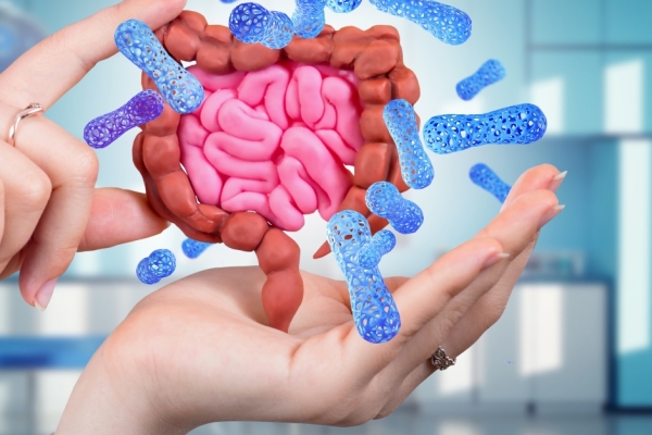 Gut Health / Gastrointestinal