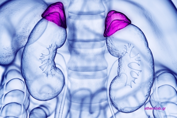 Adrenals
