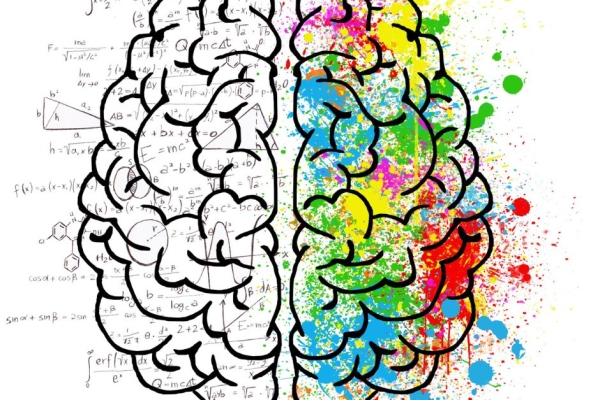 Neurology / Psychiatry