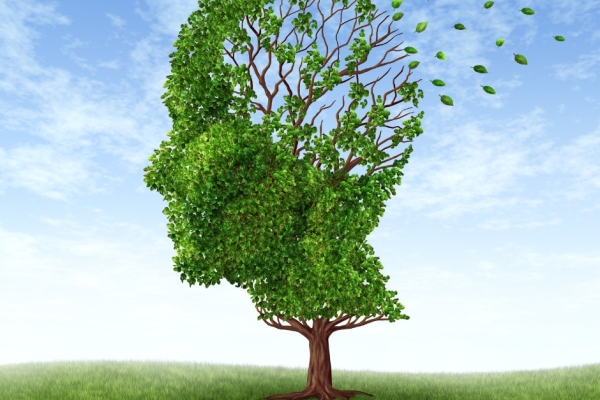 Neurology / Psychiatry