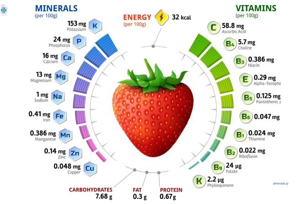 Nutrition
