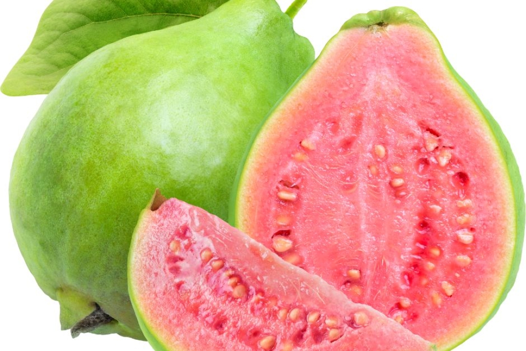 Nutrition