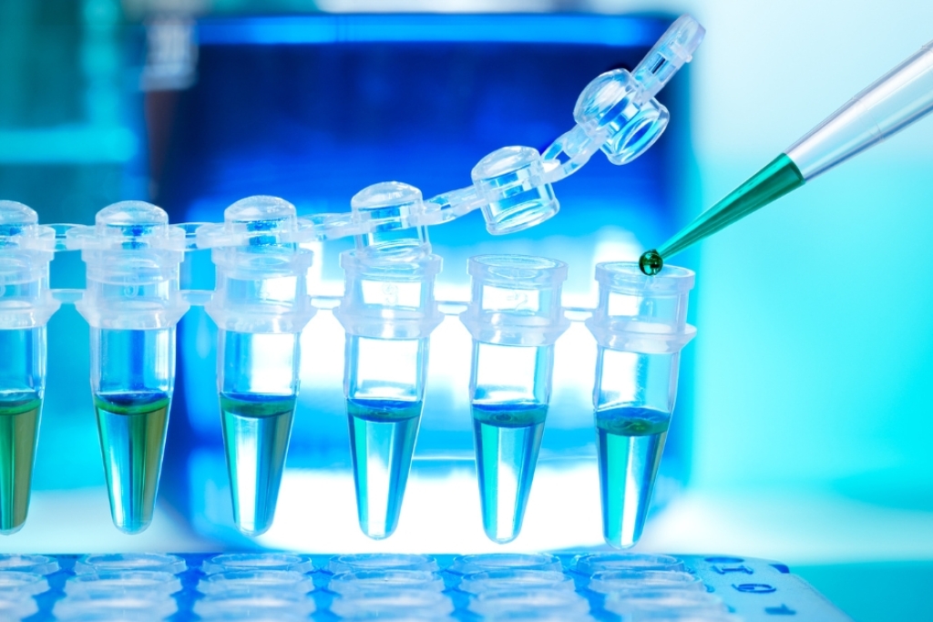 Επιστημονικά Νέα