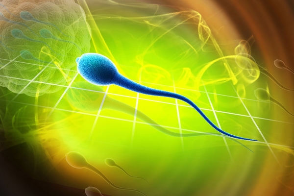 Infertility - SpermaScan®