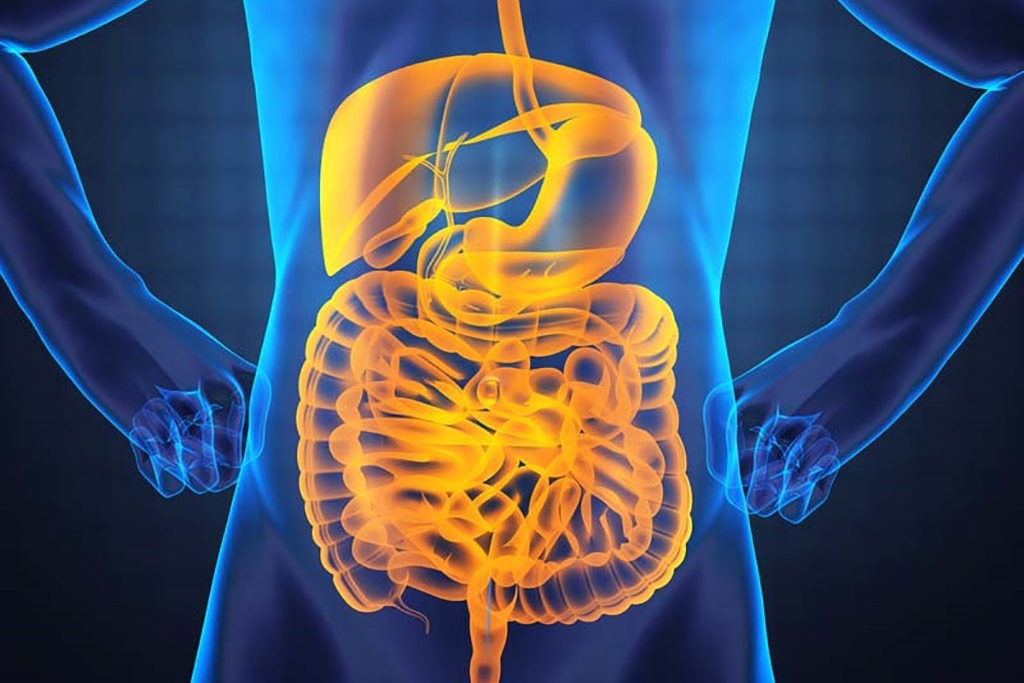 Intestinal Microbiome - EnteroScan®