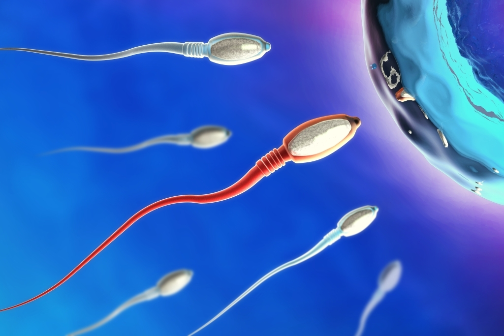 Υπογονιμότητα - SpermaScan®