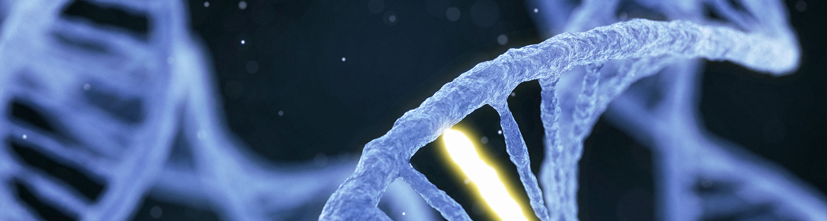 Εξετάσεις Γενετικής